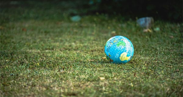 GrassGlobe-FI